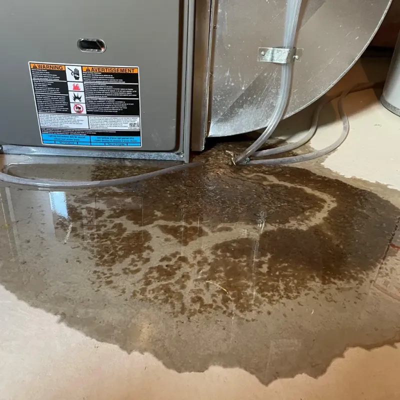 Appliance Leak Cleanup in Princeton, NC